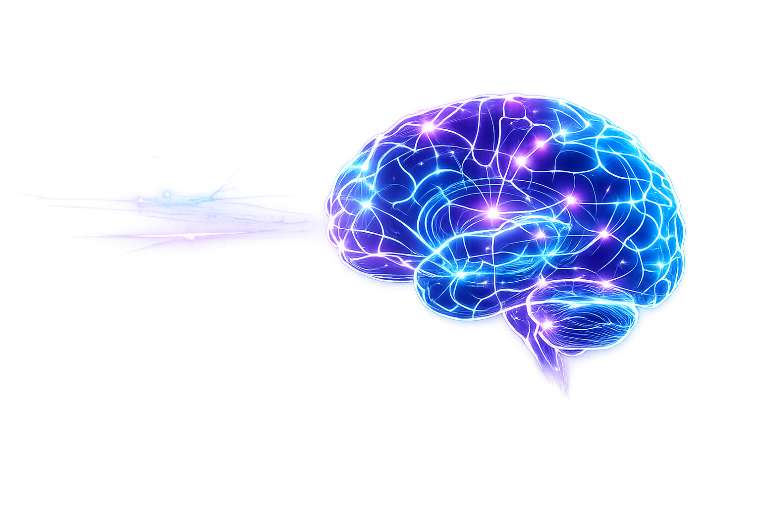 Cérebro Neuroperformance NEOK